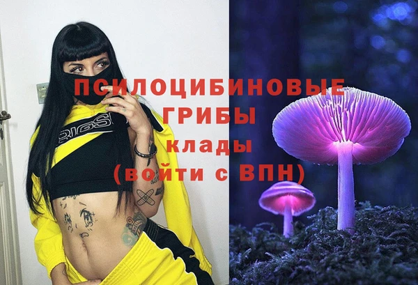 Альфа ПВП Лихославль