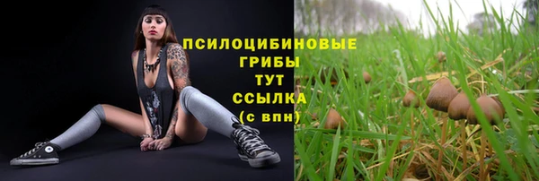 хмурый Липки