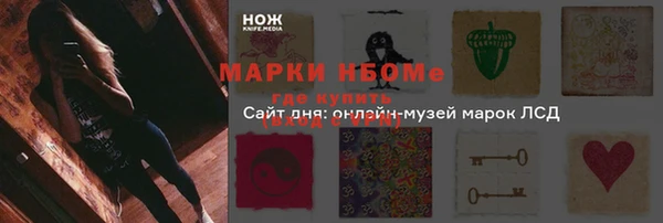 хмурый Липки