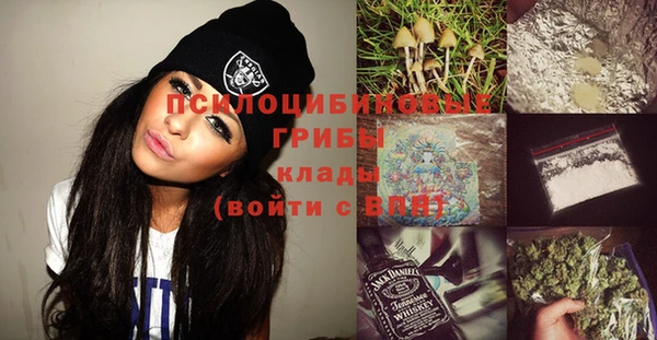 хмурый Липки