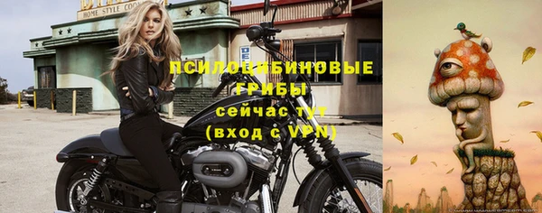 дурь Лиски