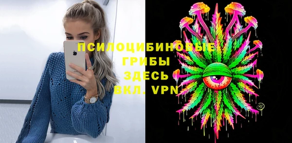 хмурый Липки