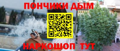 крисы Бийск