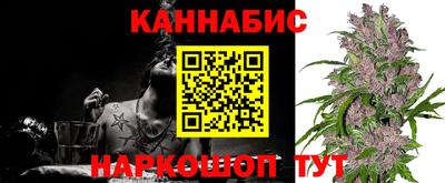 спайс Берёзовский