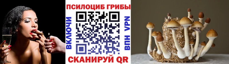 Галлюциногенные грибы мицелий  Дубна 