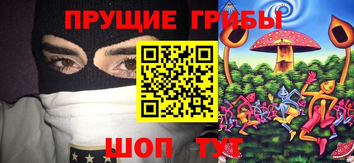 Дубна  Галлюциногенные грибы Psilocybine cubensis  Галлюциногенные грибы Magic Shrooms  Вход с VPN 