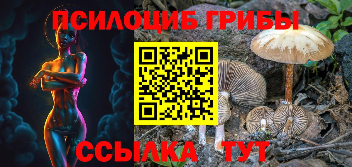 Псилоцибиновые грибы мухоморы Дубна